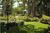 Holiday Park Hotel & Suites::Travelocity.com