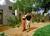 Villas of Cave Creek::Hotels.com