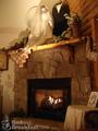 Crystal Cove Bed and Breakfast