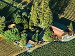 Sequoia Grove Winery