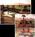 Suncoast Hotel And Casino::Orbitz