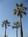 Holiday Inn Express Newport Beach::Priceline.com