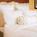 Marriott Saint Louis West::Orbitz
