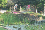 Tn-photo1