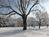 Holiday Inn Downtown at the Park::Orbitz