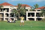 Tn-h70064_golf_01_f