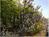 A Swift Escape::BedAndBreakfast.com