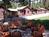 Cedar Glen Lodge from Hotels.com