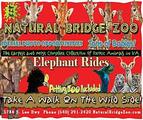 Natural Bridge of Virginia
