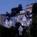 Casa Madrona Hotel And Spa::Travelocity