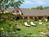 Solvang Gardens Lodge::BedAndBreakfast.com