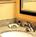 Courtyard By Marriott::Priceline.com