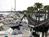 Holiday Inn Hotel & Suites Indian Rks Beach/Clearwater Area::Priceline.com