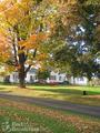 Springdale Farm Bed & Breakfast