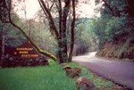 Tn-sr247