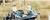 Best Western Catalina Inn::Priceline.com