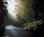 Holiday Inn Express and Suites Sebastopol from Orbitz