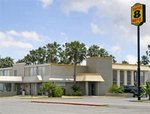 Super 8 Motel - Corpus Christi Arpt