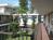 Best Western Sea Castle Suites::Orbitz
