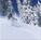 Pokolodi Lodge at Snowmass::Hotels.com