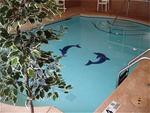 Tn-t32036_pool_01_f