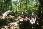 Beartown State Forest