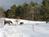 Little Farm::BedAndBreakfast.com