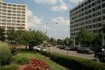 Hilton Washington