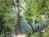 Gruene River Inn::BedAndBreakfast.com