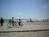 Venice Beach Suites And Hotel from Expedia