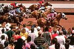 Ruidoso Downs Racetrack and Casino::NSBP