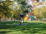 Daffodil Playground