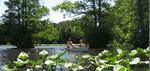 Pocomoke River State Forest