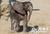 Louisville Zoological Garden::Louisvillezoo
