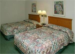 Web-3611_12_b