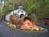 Dollywood::ThrillNetwork.com