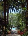 Tn-021946_pool_01_f