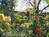 Welsch Rose Acres::BedAndBreakfast.com
