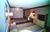 Super 8 Motel - Milford/New Haven::ProfessionalTravelGuide.com