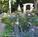Annabelle Bed & Breakfast::BedAndBreakfast.com