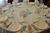 The Oaks Hotel and Conference Center::Orbitz