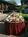 Holiday Inn Blacksburg::Orbitz