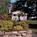 Stowe Motel::ProfessionalTravelGuide.com