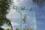 Hyatt Coconut Point Resort & Spa::ProfessionalTravelGuide.com