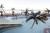 Holiday Inn Hotel And Suites Ocean City::Orbitz