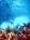 Best Western Homestead/Florida City 'gateway To Keys from Priceline.com