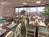 Tropical Winds Oceanfront Resort::Orbitz
