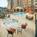 Residence Inn Oklahoma City Downtown/Bricktown::Priceline.com