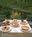 Mast Farm Inn::BedAndBreakfast.com