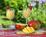 Brampton Inn::BedAndBreakfast.com